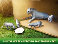 Hunting Cat Survival Simulator 3D screenshot, image №909992 - RAWG