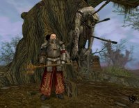 Warhammer Online: Age of Reckoning screenshot, image №434485 - RAWG