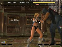 Dead or Alive Online screenshot, image №480206 - RAWG