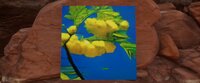 Sweet Thorn Acacia screenshot, image №3504543 - RAWG