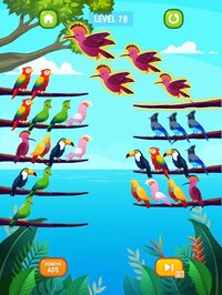 Bird Sort Puzzle screenshot, image №3337674 - RAWG