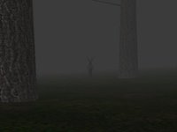 Trapped in the Forest FREE screenshot, image №1525993 - RAWG