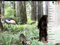 Animal Discovery for iPad screenshot, image №1786295 - RAWG