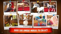 Horse Haven World Adventures screenshot, image №1521988 - RAWG