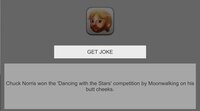 ChuckNorrisJokes screenshot, image №3507443 - RAWG