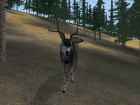 Deer Hunter 2004 screenshot, image №356754 - RAWG