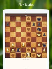 Chess Tactics and Lessons screenshot, image №2682049 - RAWG