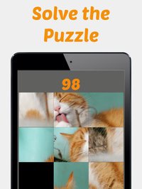 Cute Kitten Photos Puzzle screenshot, image №2190585 - RAWG