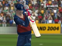 Brian Lara International Cricket 2005 screenshot, image №410527 - RAWG