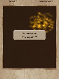 Dynamic Flash Ball screenshot, image №1712409 - RAWG