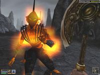 The Elder Scrolls III: Morrowind screenshot, image №289957 - RAWG