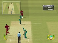 Brian Lara International Cricket 2005 screenshot, image №410518 - RAWG