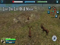 Moose Simulator screenshot, image №1705434 - RAWG