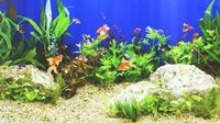 Aquarium Sim screenshot, image №1481228 - RAWG