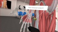 3D Organon VR Anatomy screenshot, image №133208 - RAWG
