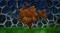 My Money Grows On Trees screenshot, image №4248660 - RAWG