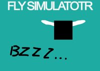 FLY SIMULATOR (itch) screenshot, image №2113358 - RAWG