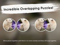 Venn Wolves: Overlapping Jigsaw Puzzles screenshot, image №1788592 - RAWG