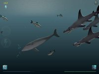 Shark Eaters: Rise of the Dolphins screenshot, image №4687 - RAWG