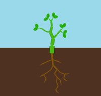 Grow (itch) (Japes) screenshot, image №1111624 - RAWG