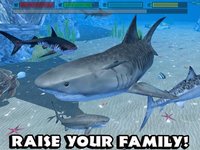 Ultimate Shark Simulator screenshot, image №1968030 - RAWG