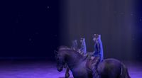 EquiMagic - Galashow of Horses screenshot, image №707658 - RAWG