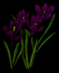 The Trans-Dimensional Gardening Guild Handbook screenshot, image №2329496 - RAWG
