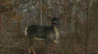 Pro Deer Hunting screenshot, image №2280369 - RAWG