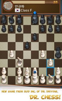 Dr. Chess screenshot, image №1529527 - RAWG