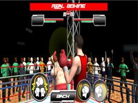 Real Wrestling Fighting screenshot, image №1706031 - RAWG