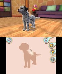 I Love My Dogs screenshot, image №264732 - RAWG