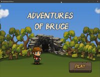 Adventures of Bruce screenshot, image №2413895 - RAWG