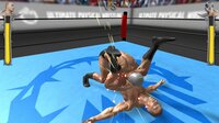 Ultimate Physical Wrestling screenshot, image №2985864 - RAWG
