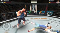 Fight Mania 3D screenshot, image №2974043 - RAWG