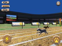 Greyhound Racing Tournament 2 screenshot, image №1989907 - RAWG