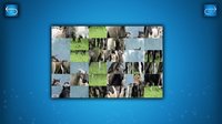 PUZZLE: ANIMALS screenshot, image №1822203 - RAWG