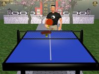 Zen Table Tennis screenshot, image №1724648 - RAWG