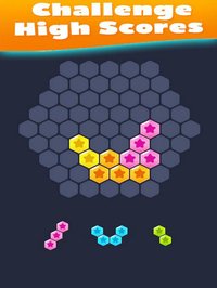 Hex Fill Brain: Hexagon Blocks screenshot, image №1325822 - RAWG