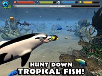 Dolphin Simulator screenshot, image №1968034 - RAWG