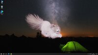 Get a cat screenshot, image №4235332 - RAWG
