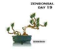 ZenBonsai screenshot, image №1065889 - RAWG