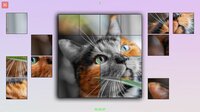 TitTok Kitty screenshot, image №3781911 - RAWG