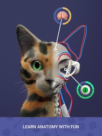 Idle Pet - Create cell by cell screenshot, image №2307399 - RAWG