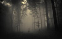 Gubben på vägen screenshot, image №2557225 - RAWG