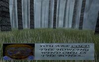 Wintercoffin screenshot, image №3486568 - RAWG