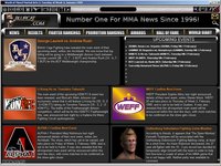 World of Mixed Martial Arts 2 screenshot, image №521696 - RAWG