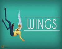Wings (itch) screenshot, image №1129649 - RAWG