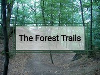 The Forest Trails screenshot, image №2261911 - RAWG