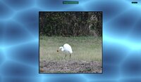 Jon's Jigsaw Puzzle screenshot, image №4161058 - RAWG
