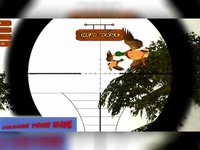 Boscage bird hunting: Wildlife sniper shooter screenshot, image №1832835 - RAWG